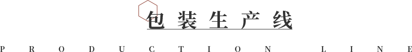 包裝生產(chǎn)線(xiàn)